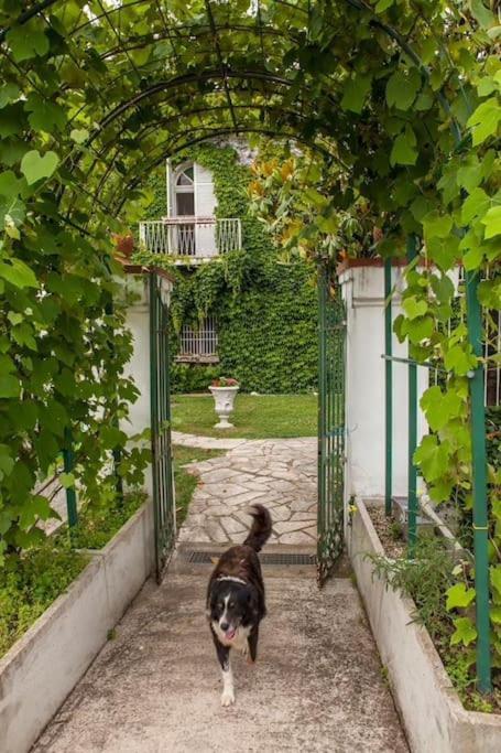 Voltapensieri Apartman Battipaglia Kültér fotó